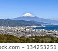 View of the city and Mt. Fuji from Nihon-daira 134253251