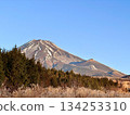 Cypress forest and Mount Fuji 134253310