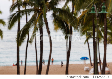 人們在威基基海灘和棕櫚樹下享受陽光 134253394