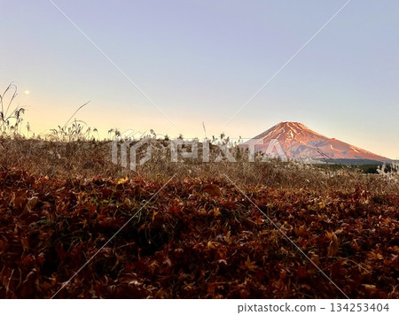 From autumn to winter 134253404