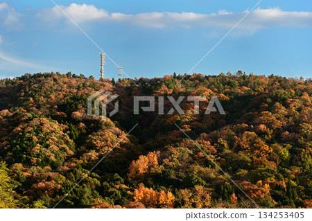 池田市山景秋葉 134253405