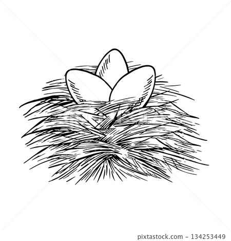 A nest with chicken eggs. Black and white vector illustration drawn by hand. Three brown eggs in a straw nest. The concept of poultry farming. A design element for banners, labels, packaging, and more A nest with chicken eggs. Black and white vector illustration drawn by hand. Three brown eggs in a straw nest. The concept of poultry farming. A design element for banners, labels, packaging, and more 134253449