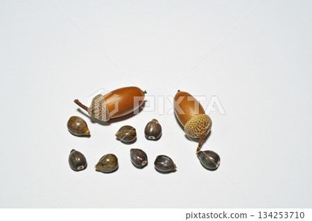 薏苡仁和橡樹果實（白色背景） 134253710
