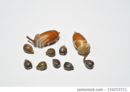 薏苡仁和橡樹果實（白色背景） 134253711