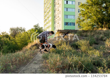 Man bending to pet dog during evening walk 134253784