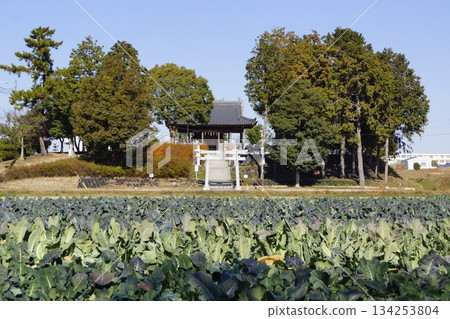 兵庫縣伊波町北山天滿宮 134253804