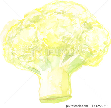 花椰菜的水彩插圖 花椰菜的水彩插圖 134253968