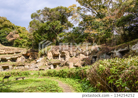 Kamakura Mandalado Tower Group 134254252