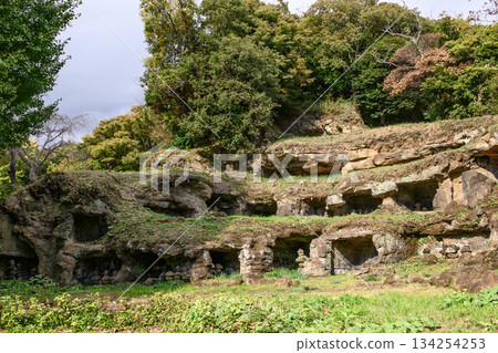 Kamakura Mandalado Tower Group 134254253