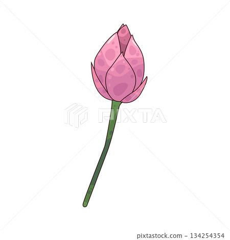 illustration of Lotus Flower 134254354
