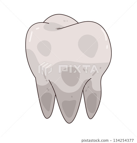 illustration of Healthy Tooth 134254377