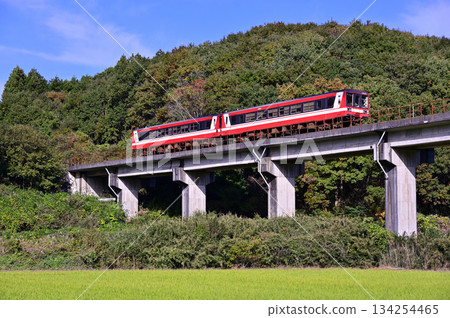 Kashima Rinkai Railway 6000 series diesel railcar traveling on the Oarai Kashima Line in autumn 134254465