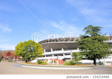 Okayama Prefectural General Ground Athletics Stadium 134254466