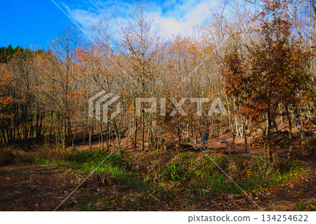 Satoyama in late autumn Satoyama in late autumn 134254622