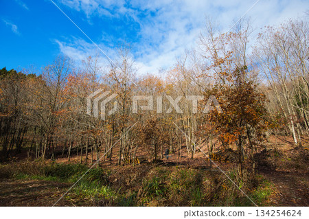 Satoyama in late autumn Satoyama in late autumn 134254624