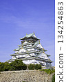 Osaka Castle Tower (Osaka City, Osaka Prefecture) 134254863