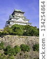 Osaka Castle Tower (Osaka City, Osaka Prefecture) 134254864