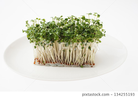 Bean sprouts white background 134255193