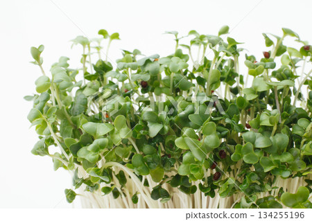 Bean sprouts white background 134255196