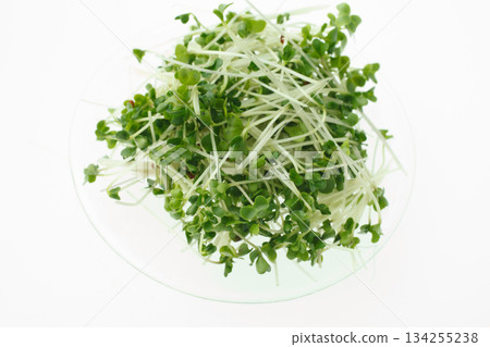 Bean sprouts white background 134255238