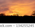 Stunning Orange Sky at Dusk with Silhouettes of Forest and Bare Branches 134255245