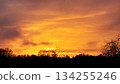 Magnificent Sky at Dawn with Fiery Orange Hues Above Forest Silhouette 134255246