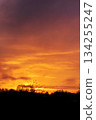 Dramatic golden sunrise sky with vivid orange clouds above dark silhouettes 134255247