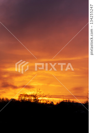 Dramatic golden sunrise sky with vivid orange clouds above dark silhouettes Dramatic golden sunrise sky with vivid orange clouds above dark silhouettes 134255247