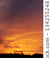 Fiery sunrise sky with glowing orange clouds above dark silhouetted trees 134255248