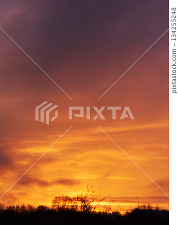 Fiery sunrise sky with glowing orange clouds above dark silhouetted trees Fiery sunrise sky with glowing orange clouds above dark silhouetted trees 134255248