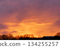Dramatic golden sunset sky above winter trees and distant buildings 134255257