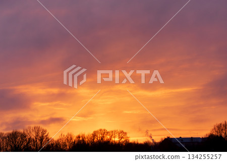 Dramatic golden sunset sky above winter trees and distant buildings 134255257