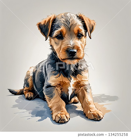 Lakeland Terrier puppy sitting still 134255258