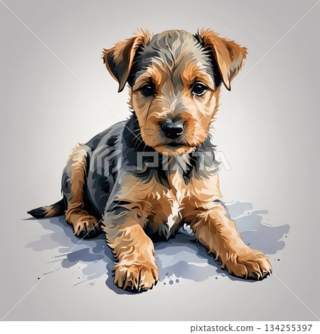 湖畔梗幼犬躺下 134255397