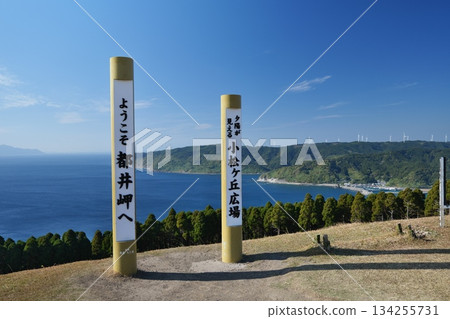 Cape Toi in Kushima City, Miyazaki Prefecture Cape Toi in Kushima City, Miyazaki Prefecture 134255731