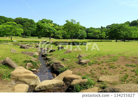 Scenery of the "21st Century Forest and Square" in early summer with fresh green forests, grasslands, and streams 134255827