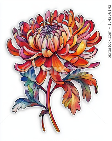cheerful_cartoon_chrysanthemum 134256142
