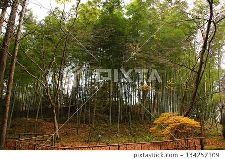 [Iwate Prefecture] Chusonji Temple 134257109
