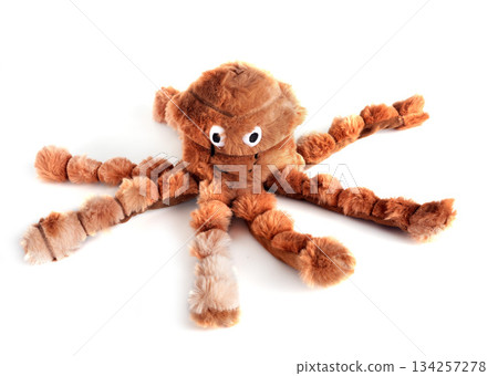 toy for dog 134257278