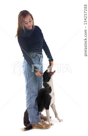 border collie and owner in studio 134257288