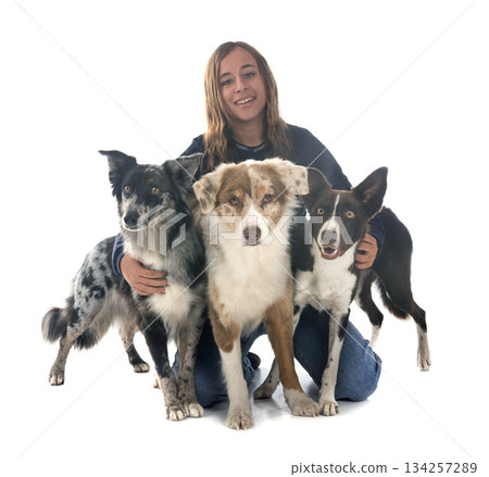 australian shepherds and border collie with owner 134257289