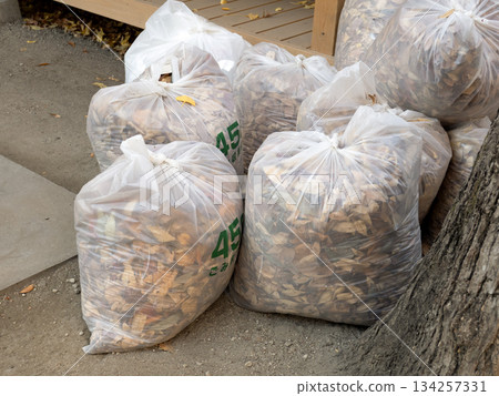 甜美的落葉 134257331