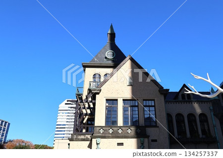 Historical buildings against the blue sky Historical buildings against the blue sky 134257337