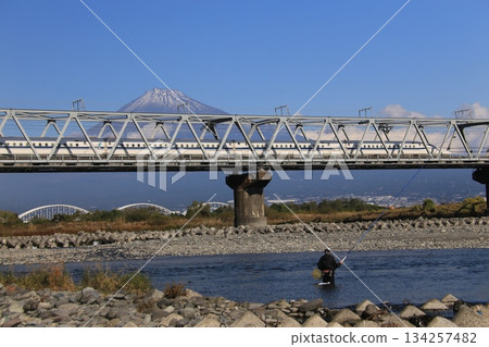 Shinkansen and Mt. Fuji 134257482