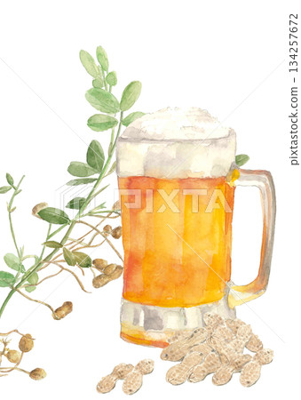 手繪水彩插畫，描繪了生啤酒和花生。白色背景，透明背景，留有空白區域。 134257672