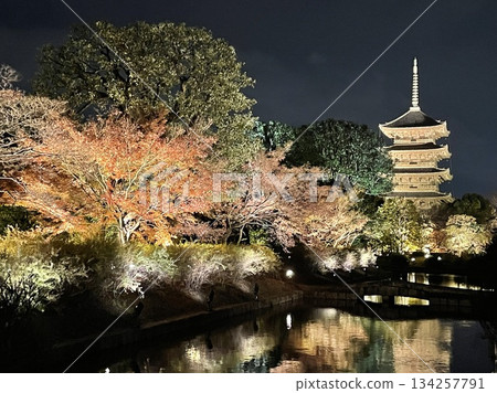 秋夜造訪京都東寺，以智慧型手機拍攝 134257791