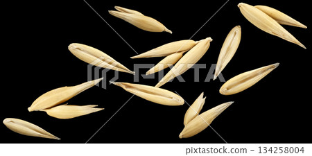 Falling oat seeds isolated on black background, falling oat grains collection, macro, full depth of field Falling oat seeds isolated on black background, falling oat grains collection, macro, full depth of field 134258004