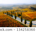 Winding road lined with cypress trees 134258360