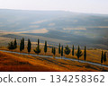 Winding road lined with cypress trees 134258362