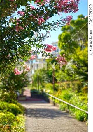 Meguro River green road 134259140